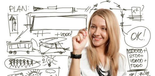 societe france Irlande Limited